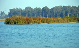 आसन कंज़र्वेशन रिज़र्व बना उत्तराखंड का पहला रामसर स्थल |_3.1