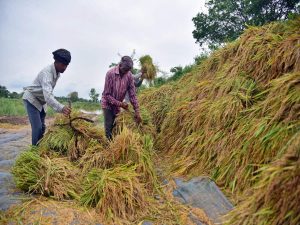 गोवा सरकार ने किसानों को PM-KISAN योजना से जोड़ने के लिए इंडिया पोस्ट के साथ की साझेदारी |_3.1