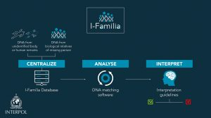 लापता व्यक्तियों की पहचान के लिए इंटरपोल ने लॉन्च किया "I-Familia" |_3.1