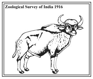 ज़ूलोजिकल सर्वे ऑफ इंडिया को 100 वर्षों में पहली महिला निदेशक मिली |_3.1