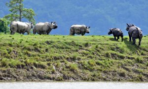 भारत ने अंतर्राष्ट्रीय समुदाय से 30% भूमि और पानी की रक्षा करने का वचन दिया |_3.1