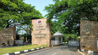 IIT के शोधकर्ताओं ने गन्ने के कचरे से चीनी का विकल्प खोजने का नया तरीका खोजा |_3.1