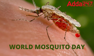 World Mosquito Day: विश्व मच्छर दिवस क्यों मनाया जाता है? |_3.1