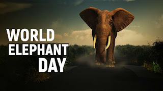 World Elephant Day 2022: जानें विश्व हाथी दिवस का इतिहास और महत्व |_3.1