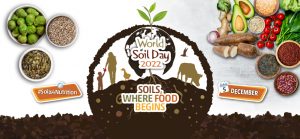 World Soil Day 2022: विश्व मृदा दिवस का इतिहास और महत्व |_3.1