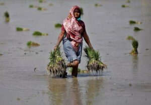 फसल बीमा पोर्टल कवरेज का विस्तार करने के लिए सरकार ₹30,000 करोड़ का निवेश करेगी |_3.1