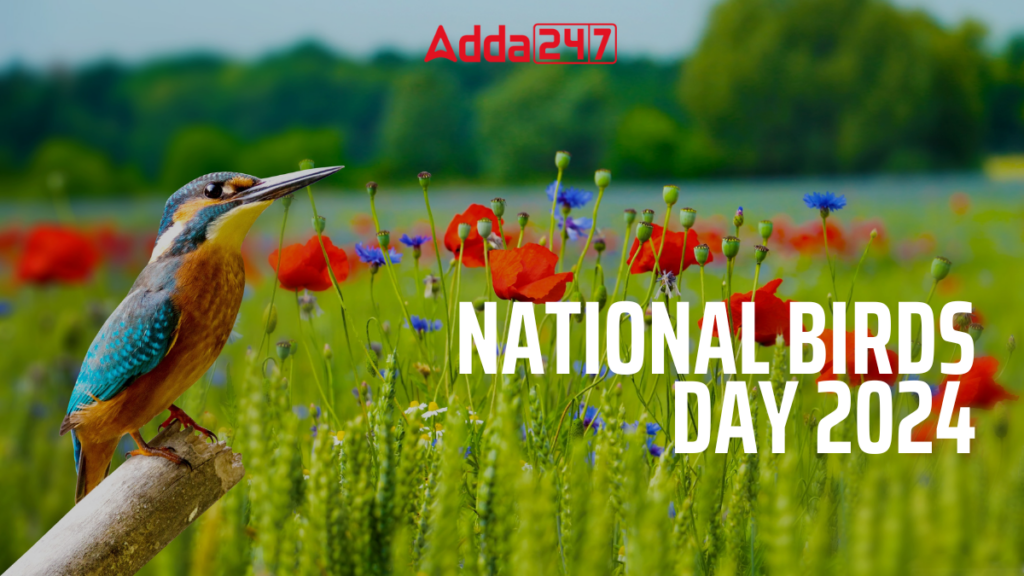 राष्ट्रीय पक्षी दिवस 2024 महत्व और इतिहास