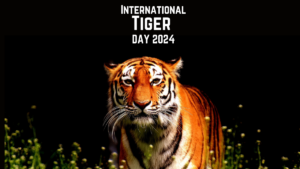 International Tiger Day 2024: जानें इस दिन का इतिहास, महत्व और उद्देश्य |_3.1