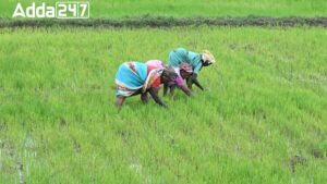 राष्ट्रीय प्राकृतिक खेती मिशन: टिकाऊ कृषि को आगे बढ़ाना