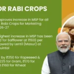 सरकार ने रबी फसलों के न्यूनतम समर्थन मूल्य में वृद्धि की