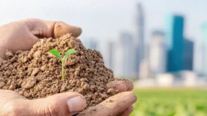World Soil Day 2025: जानें मृदा दिवस क्यों मनाया जाता है?