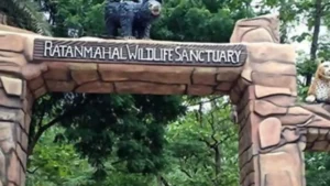 33 साल बाद गुजरात टाइगर स्टेट बना, NTCA ने घोषणा की