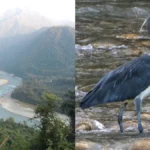 कलाई-II हाइड्रोपावर प्रोजेक्ट को मंज़ूरी