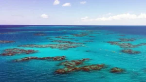 दुनिया में ऐसा कौन सा एकमात्र समुद्र है जिसकी कोई तटरेखा नहीं है?