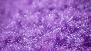 किस रंग को रंगों का राजा कहा जाता है?