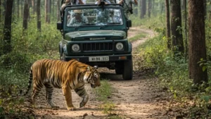 कुंभलगढ़ वन्यजीव अभयारण्य को इको-सेंसिटिव ज़ोन घोषित किया गया