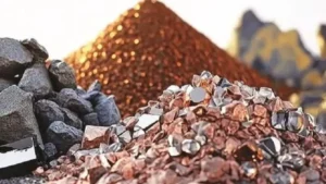 भारत और नामीबिया रक्षा और महत्वपूर्ण खनिजों के क्षेत्र में सहयोग को और गहरा करने पर सहमत