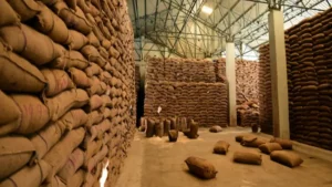 Worlds-Largest-Grain-Storage-Plan-in-Cooperative-Sector-