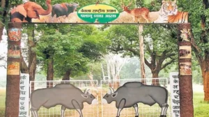 पलामू टाइगर रिजर्व की ‘वनजीवी दीदी’ पहल, क्या ग्रामीण महिलाएँ बाघों को बचा सकती हैं?