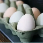 भारत, बांग्लादेश समेत 40 देश सऊदी अरब के पोल्ट्री बैन से प्रभावित