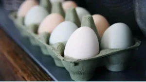 भारत, बांग्लादेश समेत 40 देश सऊदी अरब के पोल्ट्री बैन से प्रभावित