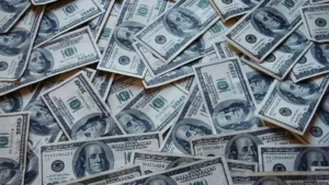 FPI ने फरवरी में भारतीय शेयरों में लगाए ₹22615 करोड़