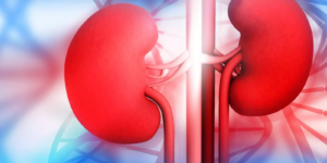 World Kidney Day 2026: जानें इतिहास, महत्व और इस साल की थीम