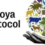 नागोया प्रोटोकॉल: भारत की पहली राष्ट्रीय रिपोर्ट जारी