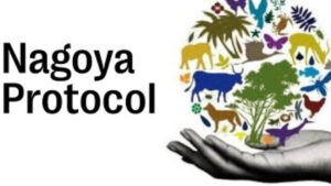 नागोया प्रोटोकॉल: भारत की पहली राष्ट्रीय रिपोर्ट जारी
