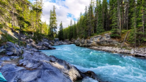 भारत में सबसे अधिक नदियाँ किस राज्य में हैं?