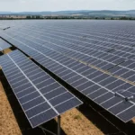 नवीकरणीय ऊर्जा क्षमता में भारत वैश्विक स्तर पर तीसरे स्थान पर: IRENA