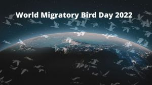 14 मई को मनाया गया विश्व ‘प्रवासी पक्षी दिवस 2022’, जानें मनाने की वज़ह और इस वर्ष का थीम